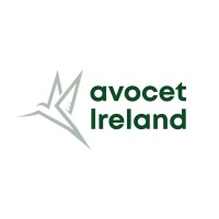 Avocet Ireland logo - Similar company to Integrity Cargo Solutions, Inc.