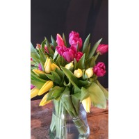 Chapel Hill Florist, Ltd