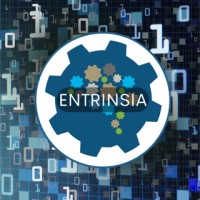 Entrinsia logo - Similar company to Bradley: Virtual Compliance Companion™