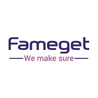 Fameget Consultants - Mobile App Development Company logo - Similar company to Amd Techsoft - Best Web And Mobile App Development Company