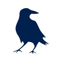 Blue Raven logo - Similar company to Blu Raven