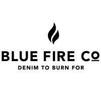 Blue Fire Co logo - Similar company to Blue Fire Co