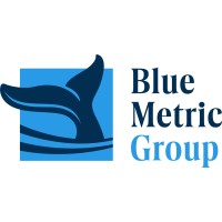 Blue Metric Group logo - Similar company to Bluemetric | Wealth Engineering