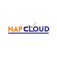 NapCloud logo - Similar company to Digipram
