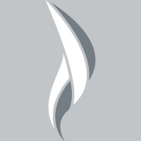 Nuance Pigments logo - Similar company to Gr Colors