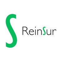 ReinSur consulting logo - Similar company to Ayra Arquitectura