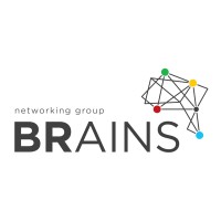 BRains Networking Group logo - Similar company to Μseis