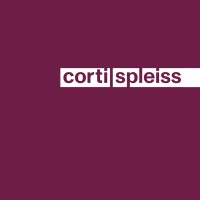 CORTI SPLEISS Gruppe logo - Similar company to Mapin