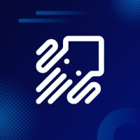 Insquid logo - Similar company to Fluxy