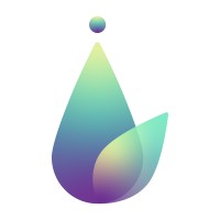 Morphology Visuals logo - Similar company to Medical Interactive Community