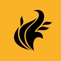 PyFyre Technology logo - Similar company to Bdmic