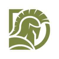 Divergent Solutions logo - Similar company to Allegiant Strategies Group
