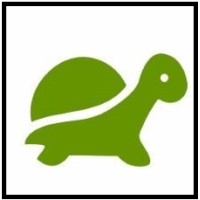 Green Turtle Finserv Private Limited logo - Similar company to Bridge Investment Advisors Private Limited