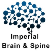 Imperial Brain and Spine Initiative logo - Similar company to British Orthopaedic Medical Students Association