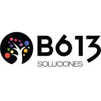 B613 Soluciones