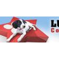 Lucky Stars Country Kennels logo - Similar company to Pirate Media Group Llc