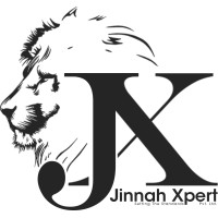 Jinnah Xpert Pvt. Ltd. logo - Similar company to Hirestrada Workforce