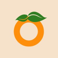 Orange Impression logo - Similar company to Excel Studio