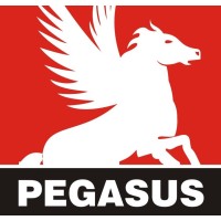 Pegasus Farmaco India Pvt Ltd logo - Similar company to Pegasus Pharma