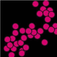 Smokers Rights Movement logo - Similar company to Reshim.Org