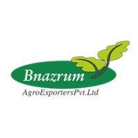 Bnazrum Agro Exports logo - Similar company to Vertical Oasis