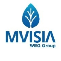 MVISIA logo - Similar company to 4Vants