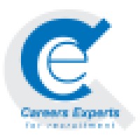 Careers Experts logo - Similar company to Paingea