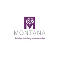 Árboles Montana