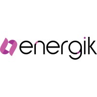 Energik InfoSystem logo - Similar company to Eic Tech Sys