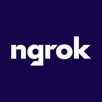 ngrok logo - Similar company to Jumptech It