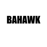 BAHAWK STUDIOS logo - Similar company to Clippingworld24