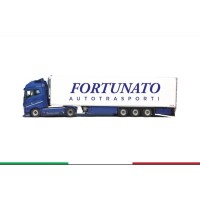 Fortunato Vito Autotrasporti Frigo logo - Similar company to Meridional Plast - Flexible Packaging
