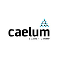 Caelum Search Group, Inc. logo - Similar company to Caelum Group Gmbh