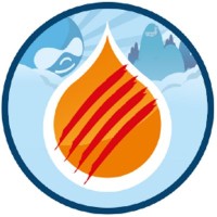 Drupal.cat logo - Similar company to Drupal Colorado