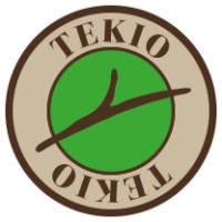 TEKIO logo - Similar company to Adear 13