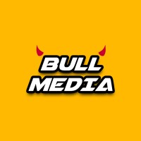 Bull Media logo - Similar company to Mstudio By Amit Ostwal