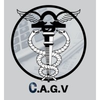 CAGV Assessoria Contábil Ltda logo - Similar company to Grupo Hzi