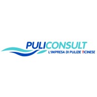 Puliconsult SA logo - Similar company to Smart Gorla Services
