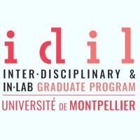 IDIL Graduate Program logo - Similar company to B-Empire
