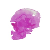 EXILE Edit logo - Similar company to Uppercut