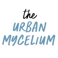 The Urban Mycelium logo - Similar company to Create Streets