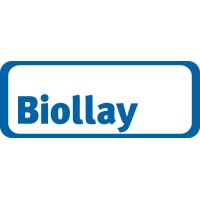 Biollay Spezialbau AG logo - Similar company to Jayson Wall