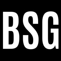 BSG logo - Similar company to Its - Information Technology System