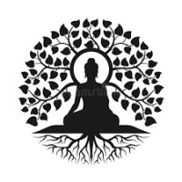 Todo Natural Omnilife-Seytu