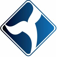 Beluga Consultant Ltd logo - Similar company to Welkin Systems Limited
