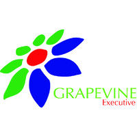 Grapevine Executive logo - Similar company to Pano.Global