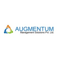 Augmentum Management Solutions logo - Similar company to Geeksonfeet