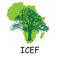 Environment and Forestry engineering consulting company logo - Similar company to Biotope Afrique Centrale