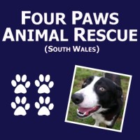 Four Paws Animal Rescue South Wales logo - Similar company to Habitat For Humanity Of Northern Saratoga, Warren And Washington Counties
