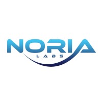 Noria Labs logo - Similar company to Vast Informatics Ltd.